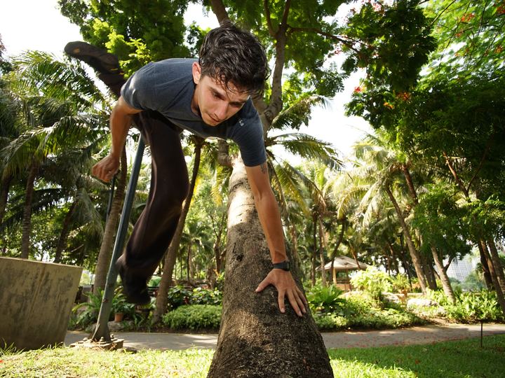 A parkour athlete moving over a tree stump in a leafy park
